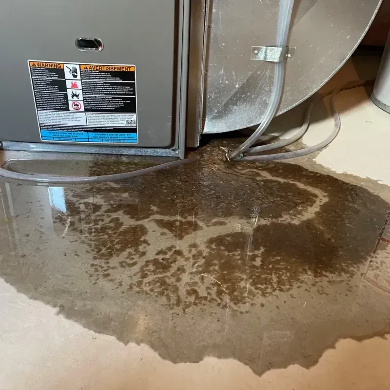 Appliance Leak Cleanup in Dundee, MI